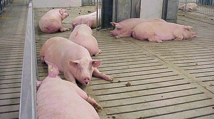 Article preview image