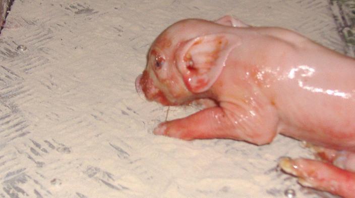 Article preview image