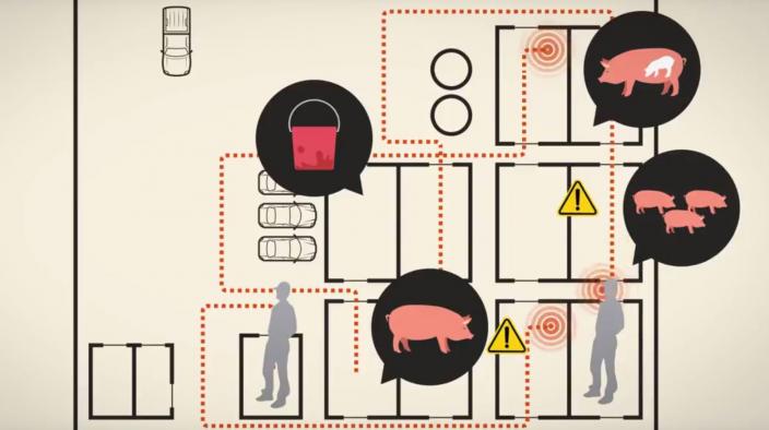 P-TRACK: A NEW TOOL TO ASSESS AND MONITOR BIOSECURITY AND MANAGEMENT RISKS IN PIG FARMS